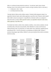 Neverbalinė kūno kalba (psichologijos rašto darbas) 2 puslapis