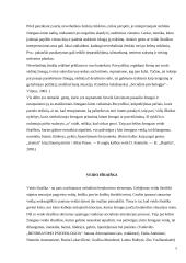 Neverbalinė kūno kalba (psichologijos rašto darbas) 4 puslapis