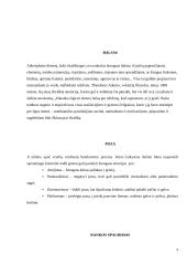 Neverbalinė kūno kalba (psichologijos rašto darbas) 8 puslapis