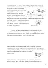 Neverbalinė kūno kalba (psichologijos rašto darbas) 9 puslapis