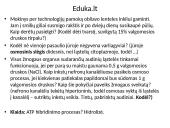 Plazminė membrana (plazmolema)  16 puslapis