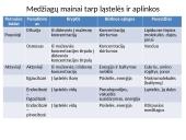 Plazminė membrana (plazmolema)  10 puslapis