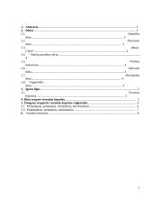 Polpuliariosios dietos 2 puslapis