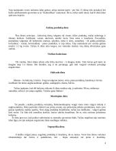 Polpuliariosios dietos 4 puslapis