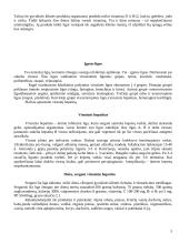 Polpuliariosios dietos 5 puslapis