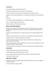 Išsamus filosofijos konspektas 11 puslapis