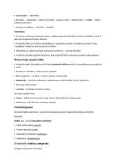 Išsamus filosofijos konspektas 18 puslapis