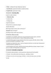 Išsamus filosofijos konspektas 19 puslapis