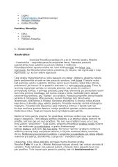 Išsamus filosofijos konspektas 3 puslapis