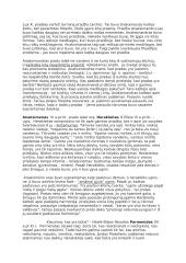 Išsamus filosofijos konspektas 4 puslapis