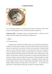 Diodai ir laidumas 9 puslapis