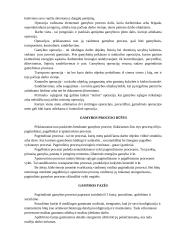 Gamybos procesas įmonėje 2 puslapis