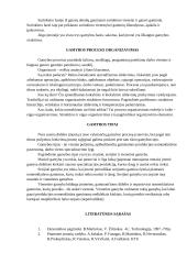 Gamybos procesas įmonėje 3 puslapis