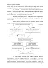 Dirbančiųjų poreikio nustatymas 12 puslapis
