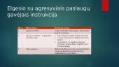 Nerimą keliantys veiksniai dirbant su socialinių paslaugų gavėjais 18 puslapis