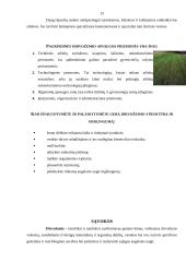 Dirvožemio tarša ir neigiamos pasekmės gamtai 13 puslapis