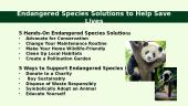 What is an Endangered species? 8 puslapis