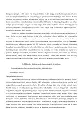 Diskotekų organizavimas 11 puslapis