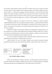 Diskotekų organizavimas 12 puslapis