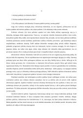 Diskotekų organizavimas 13 puslapis