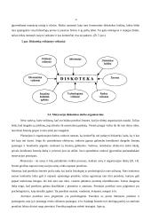 Diskotekų organizavimas 15 puslapis