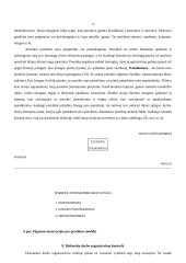 Diskotekų organizavimas 16 puslapis