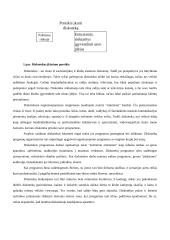 Diskotekų organizavimas 6 puslapis