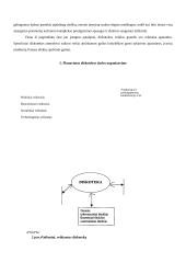 Diskotekų organizavimas 7 puslapis