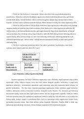 Diskotekų organizavimas 10 puslapis