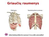 Raumenys ir jų darbas 4 puslapis