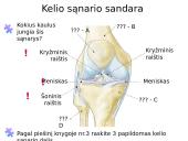 Sąnariai 4 puslapis