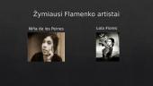 Flamenko šokio pristatymas 5 puslapis