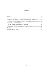 Diskretinė fiskalinė politika 2 puslapis