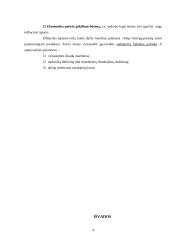 Diskretinė fiskalinė politika 10 puslapis