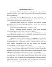 Diversifikacijos įtaka organizacinei valdymo struktūrai 2 puslapis