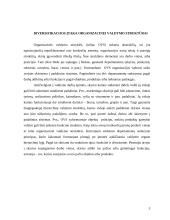 Diversifikacijos įtaka organizacinei valdymo struktūrai 3 puslapis