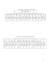 Diversifikacijos įtaka organizacinei valdymo struktūrai 4 puslapis