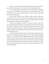 Diversifikacijos įtaka organizacinei valdymo struktūrai 6 puslapis