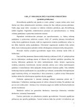 Diversifikacijos įtaka organizacinei valdymo struktūrai 7 puslapis