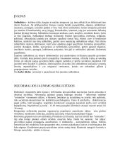 Jaunimo subkultūros visuomenėje 2 puslapis