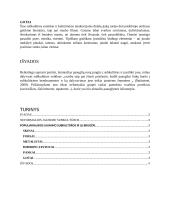 Jaunimo subkultūros visuomenėje 4 puslapis