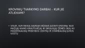 Saugaus krovinių perkėlimo reikalavimai 2 puslapis