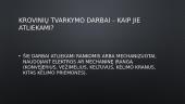 Saugaus krovinių perkėlimo reikalavimai 3 puslapis