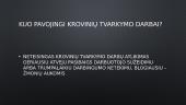 Saugaus krovinių perkėlimo reikalavimai 4 puslapis