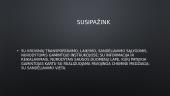 Saugaus krovinių perkėlimo reikalavimai 7 puslapis