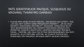 Saugaus krovinių perkėlimo reikalavimai 9 puslapis