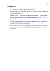 Dividendų mokėjimo politika įmonėje 12 puslapis