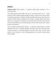 Dividendų mokėjimo politika įmonėje 3 puslapis