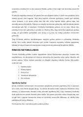 Dividendų mokėjimo politika įmonėje 6 puslapis