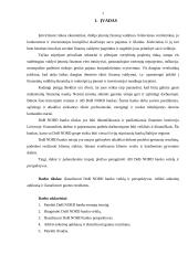 DnB NORD banko veikla ir perspektyvos 3 puslapis